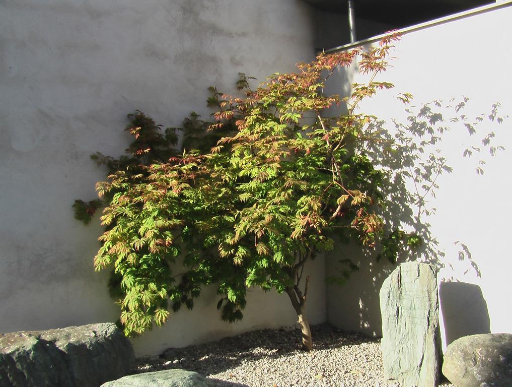 Hotel Bergland - Adults Only Salzburgo